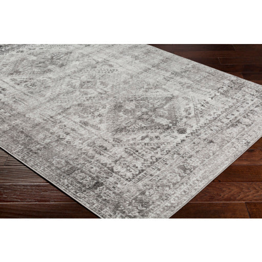 Surya Monte Carlo MNC-2314 Multi-Color Rug-Rugs-Exeter Paint Stores