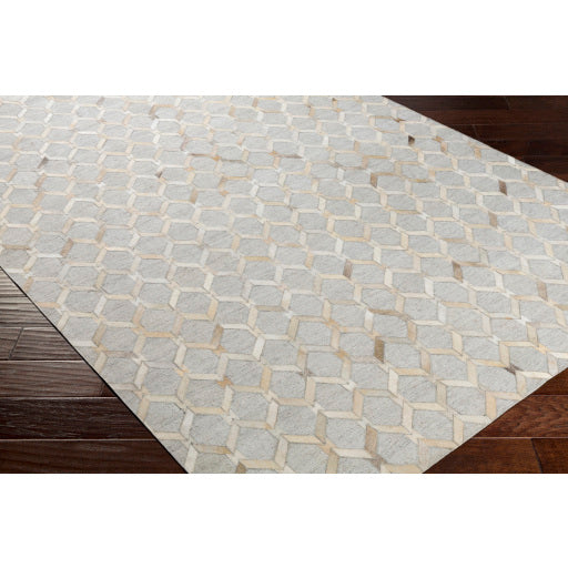 Surya Medora MOD-1005 Multi-Color Rug-Rugs-Exeter Paint Stores