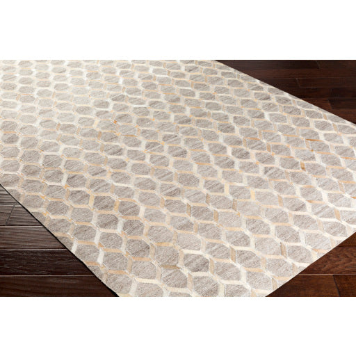 Surya Medora MOD-1009 Multi-Color Rug-Rugs-Exeter Paint Stores