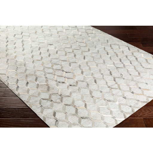 Surya Medora MOD-1010 Multi-Color Rug-Rugs-Exeter Paint Stores