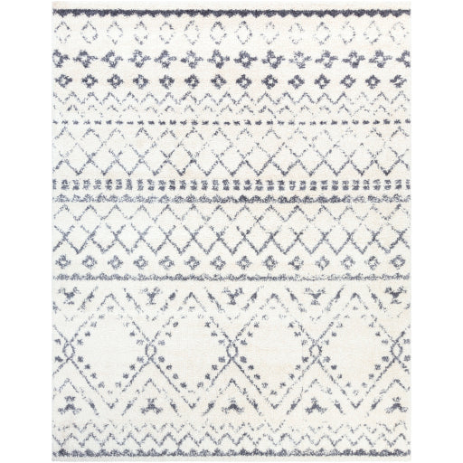 Surya Maroc Shag MRS-2301 Multi-Color Rug-Rugs-Exeter Paint Stores
