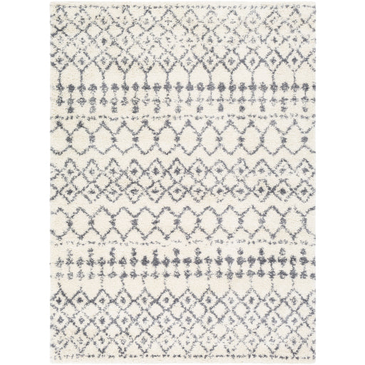 Surya Maroc Shag MRS-2310 Multi-Color Rug-Rugs-Exeter Paint Stores