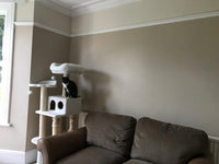 Farrow & Ball Oxford Stone NO. 264-Exeter Paint Stores