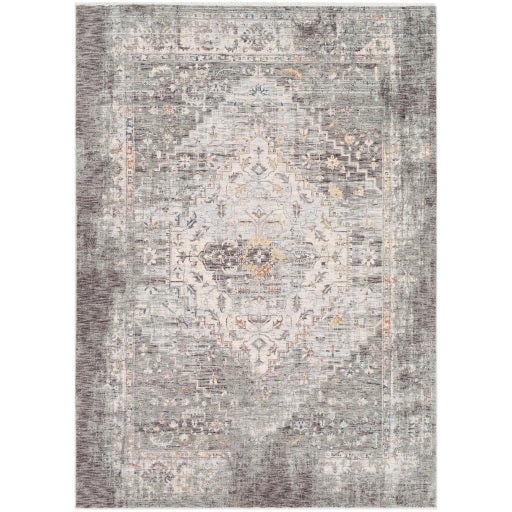 Surya Presidential PDT-2311 Multi-Color Rug-Rugs-Exeter Paint Stores