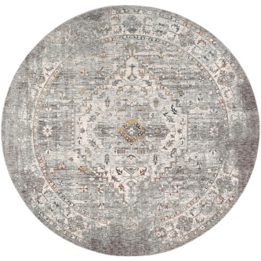Surya Presidential PDT-2311 Multi-Color Rug-Rugs-Exeter Paint Stores