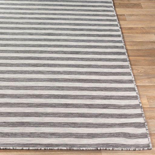 Surya Pasadena PSA-2304 Multi-Color Rug-Rugs-Exeter Paint Stores