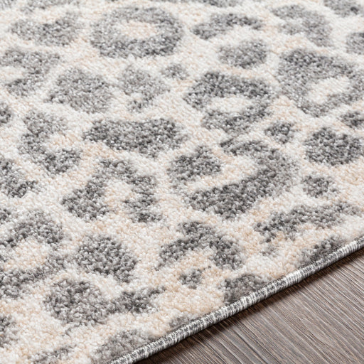 Surya Positano PSN-2305 Multi-Color Rug-Rugs-Exeter Paint Stores