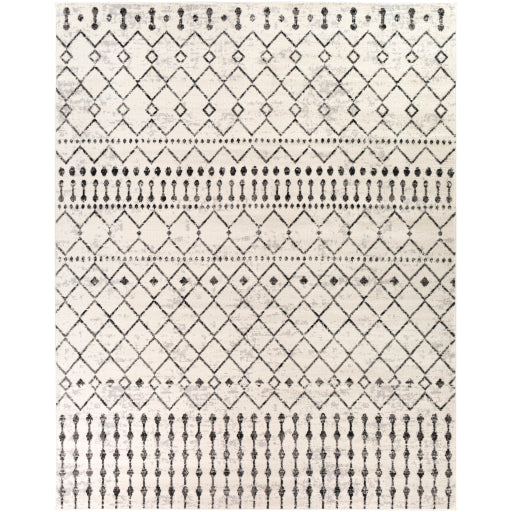 Surya Pisa PSS-2300 Multi-Color Rug-Rugs-Exeter Paint Stores