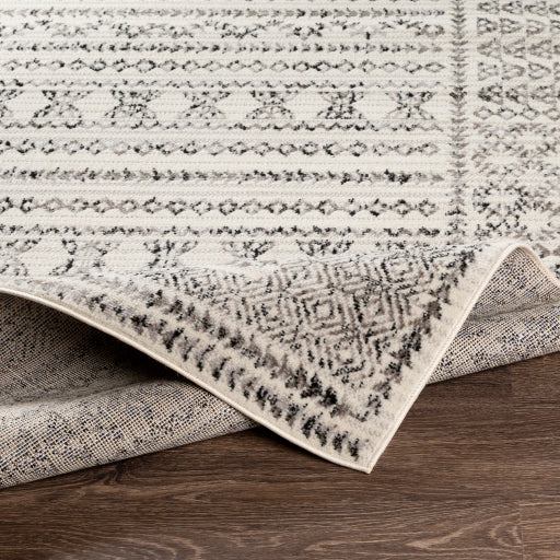 Surya Pisa PSS-2313 Multi-Color Rug-Rugs-Exeter Paint Stores