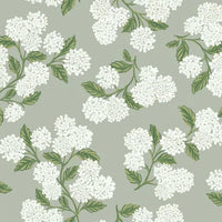 York Rifle Co. Hydrangea Wallpaper
