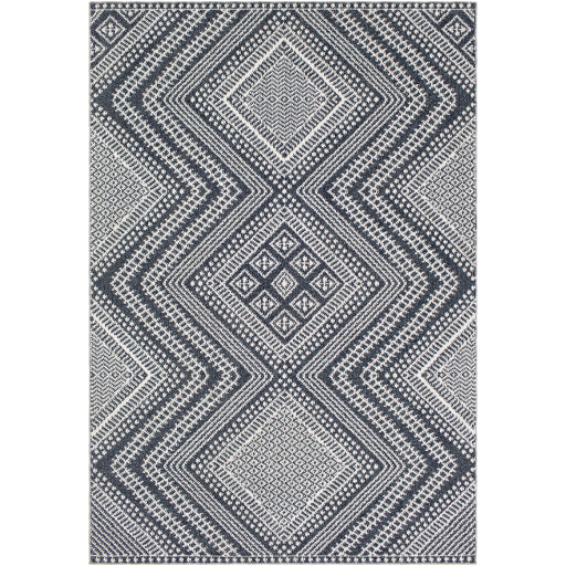 Surya Ariana RIA-2301 Multi-Color Rug-Rugs-Exeter Paint Stores