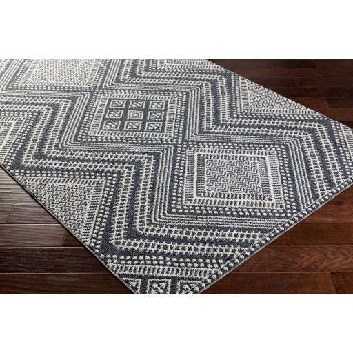 Surya Ariana RIA-2301 Multi-Color Rug-Rugs-Exeter Paint Stores