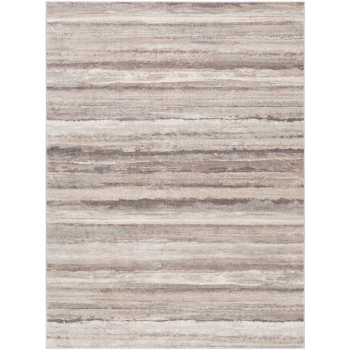Surya Roma ROM-2306 Multi-Color Rug-Rugs-Exeter Paint Stores