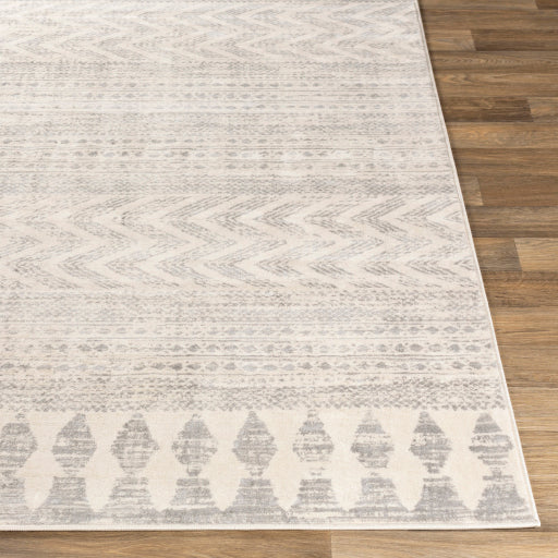 Surya Roma ROM-2329 Multi-Color Rug-Rugs-Exeter Paint Stores