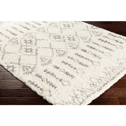 Surya Serengeti Shag SGT-2314 Multi-Color Rug-Rugs-Exeter Paint Stores