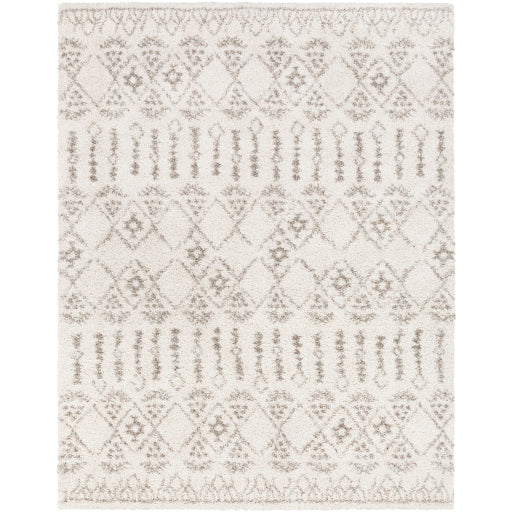 Surya Serengeti Shag SGT-2314 Multi-Color Rug-Rugs-Exeter Paint Stores