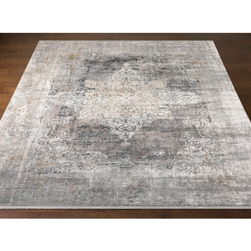 Surya Solar SOR-2305 Multi-Color Rug-Rugs-Exeter Paint Stores