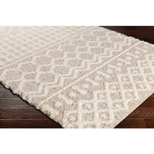 Surya Urban Shag USG-2303 Multi-Color Rug-Rugs-Exeter Paint Stores