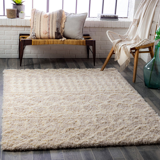 Surya Urban Shag USG-2303 Multi-Color Rug-Rugs-Exeter Paint Stores