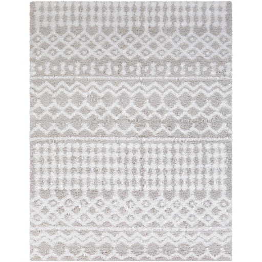 Surya Urban Shag USG-2310 Multi-Color Rug-Rugs-Exeter Paint Stores