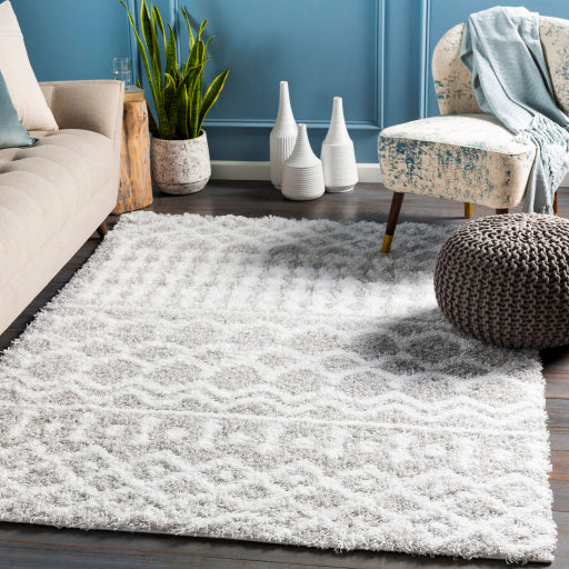 Surya Urban Shag USG-2310 Multi-Color Rug-Rugs-Exeter Paint Stores