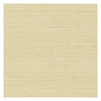 Plain Grass Wallpaper VG4400MH-Exeter Paint Stores